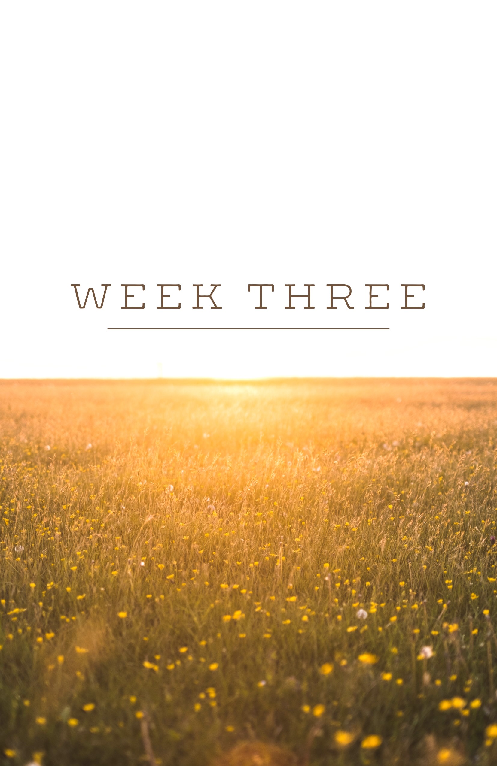 Life in Christ: Session 3