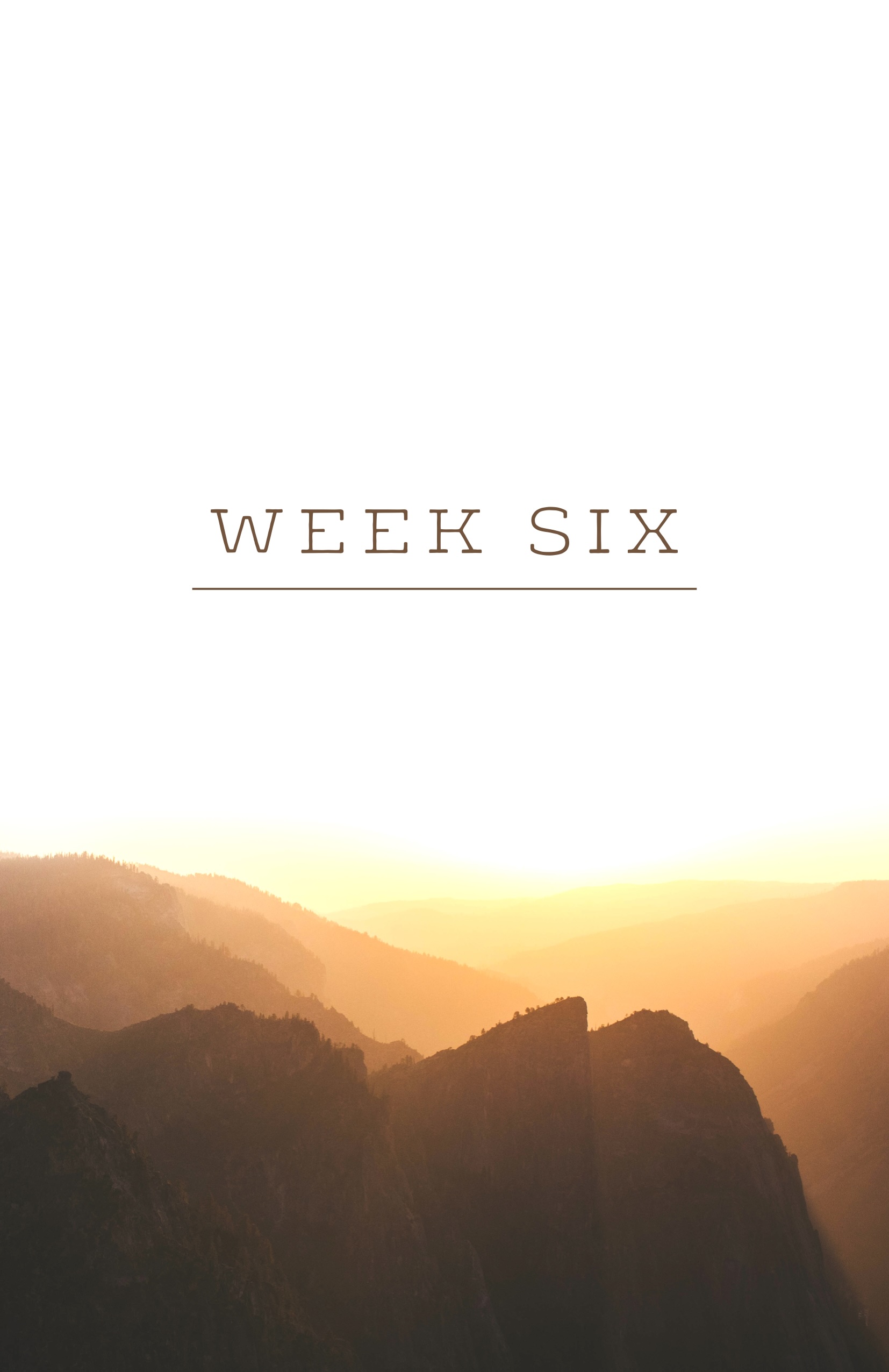 Life in Christ: Session 6